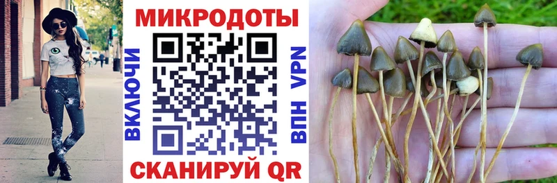 магазин продажи Андреаполь mega зеркало Галлюциногенные грибы ЛСД
